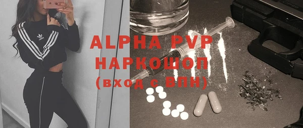 гашик Верея
