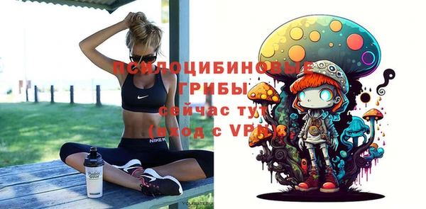 гашик Верея