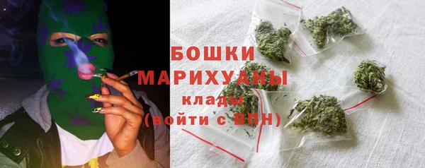 гашик Верея
