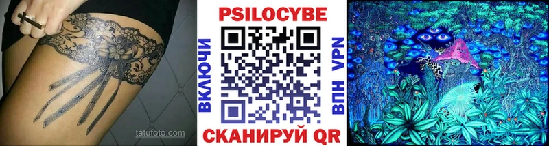купить наркоту  Грязовец  Галлюциногенные грибы Cubensis 